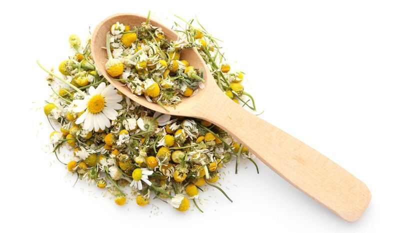 Chamomile