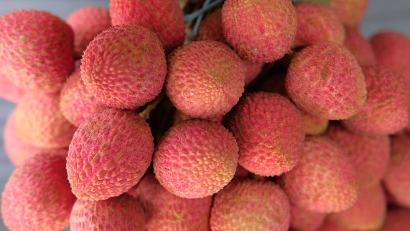 Lychee