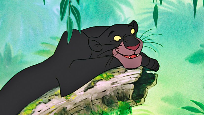 Bagheera