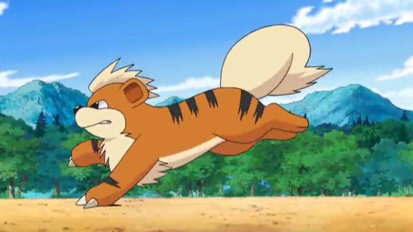 Growlithe