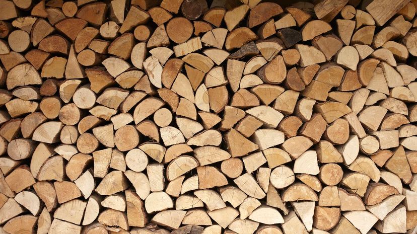 Question 28 - firewood