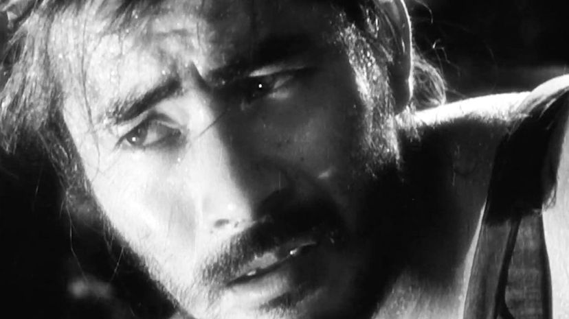 Rashomon