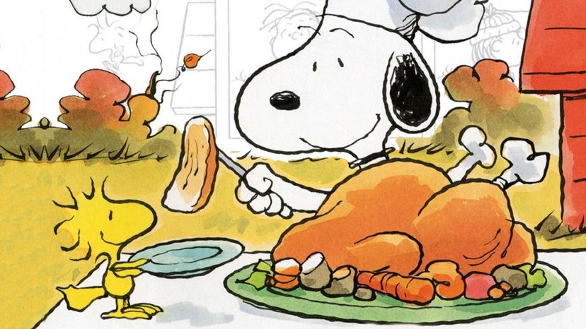 What do you remember about A Charlie Brown Thanksgiving?