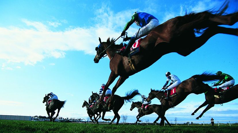 How Much Do You Know About Horse Racing?