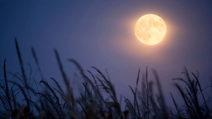 25_Harvest moon