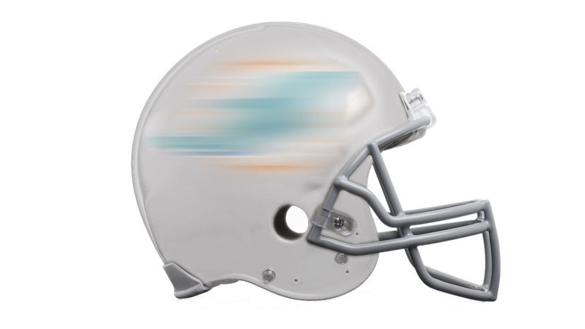 Miami Dolphins