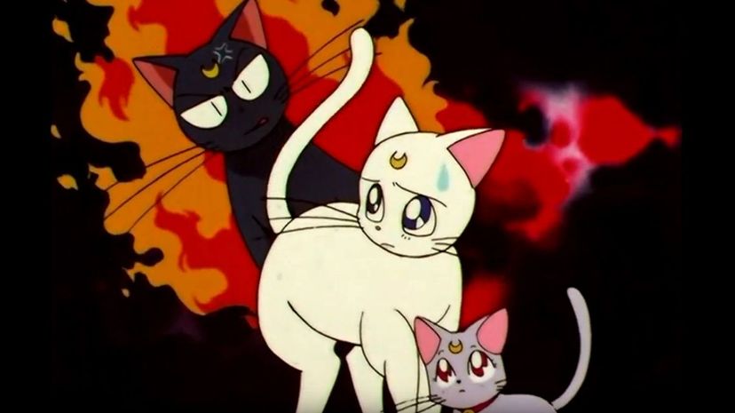 Q 03 Sailor Moon Cats
