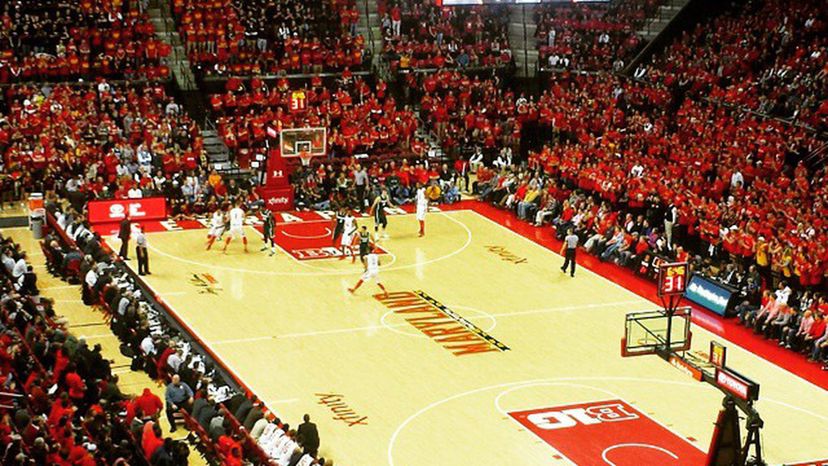 Maryland Terrapins