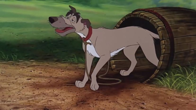 The Fox and the Hound Irish wolfhound - Chief