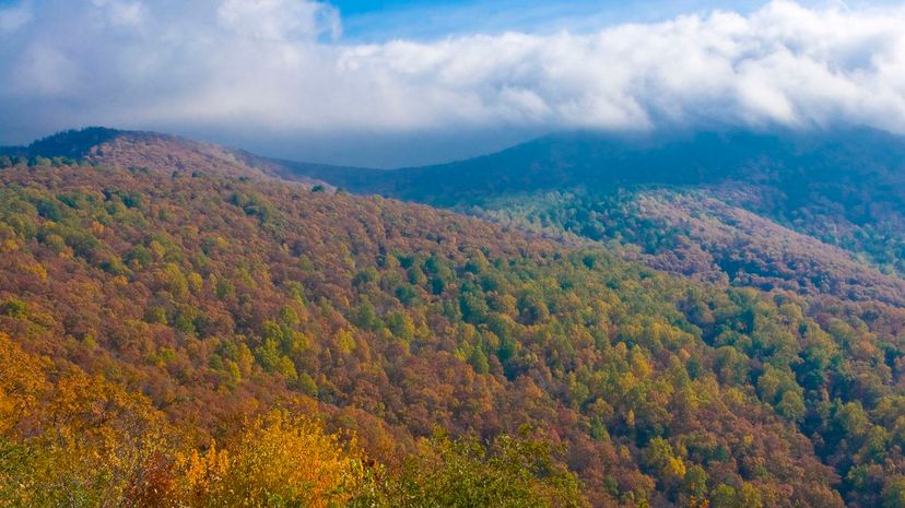 Shenandoah National Park