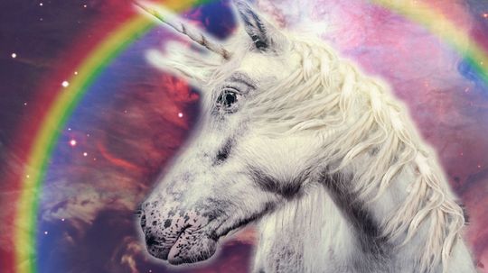 What Type of Unicorn Are You?