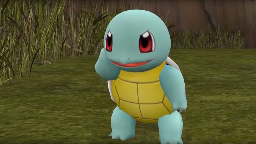 16 Squirtle