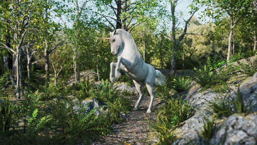Unicorn in forest