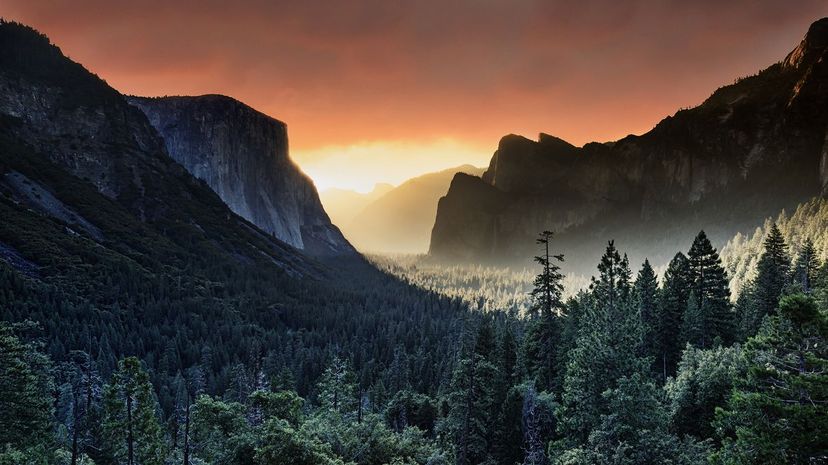Yosemite National Park