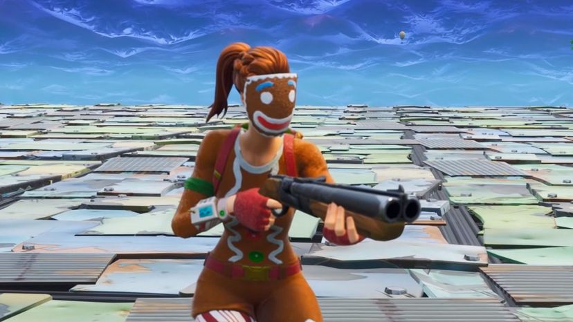 Double Barrel Shotgun