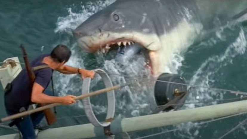 12-Jaws