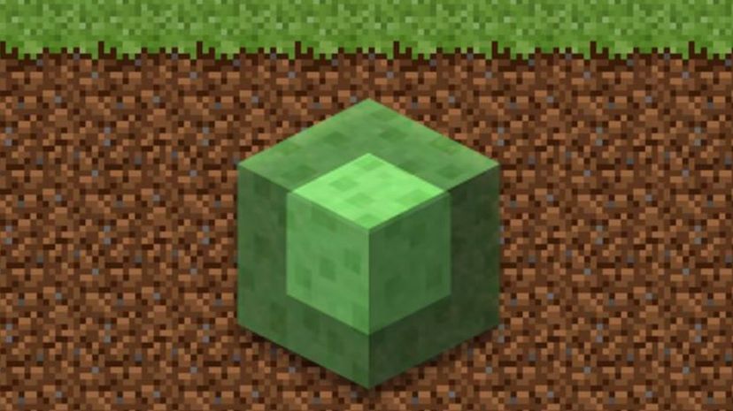 Find the Minecraft Block Quiz