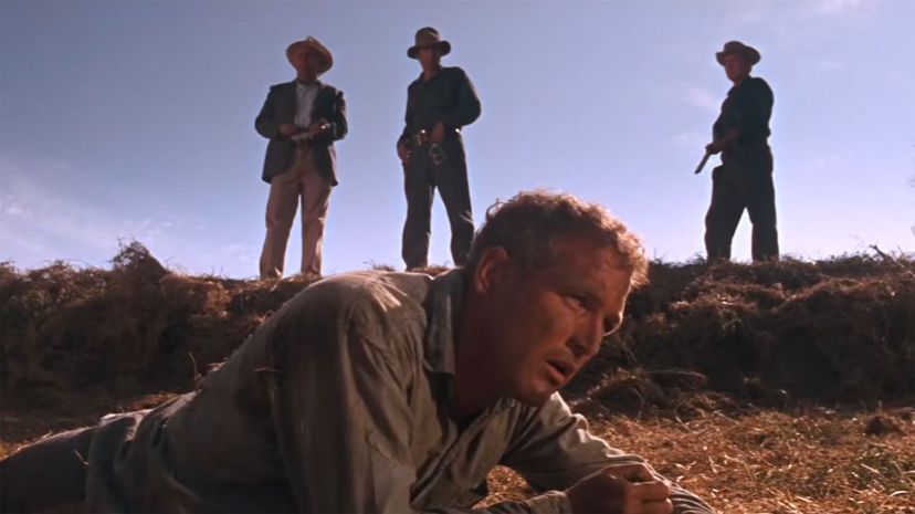 Cool Hand Luke