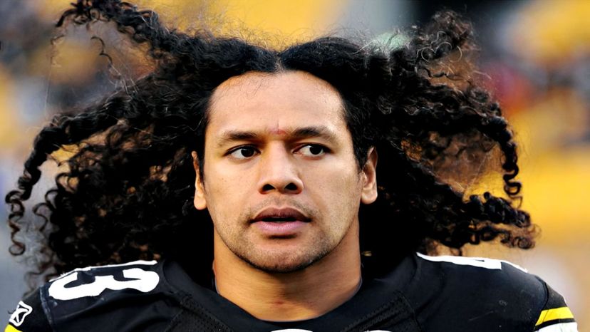 Troy-Polamalu