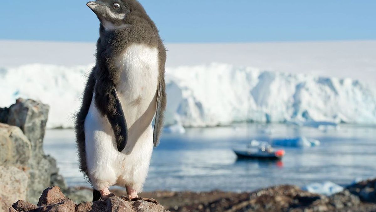 Can You Get Over 76% On This Difficult Animal Quiz? | Zoo