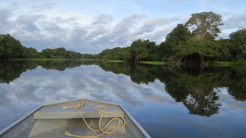 Q 11 Guapore River Amazon Rainforest