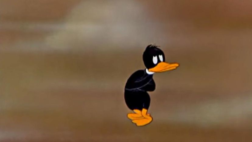 Daffy Duck