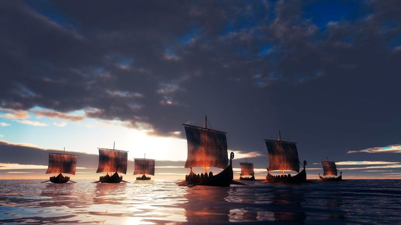 Viking ships