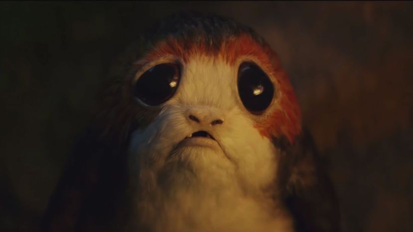 13-Cutest-Porg