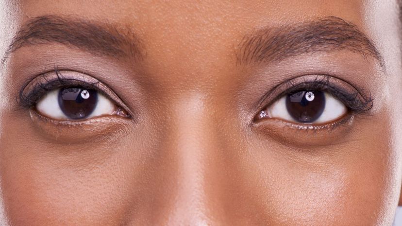 Beautiful Brown Eyes