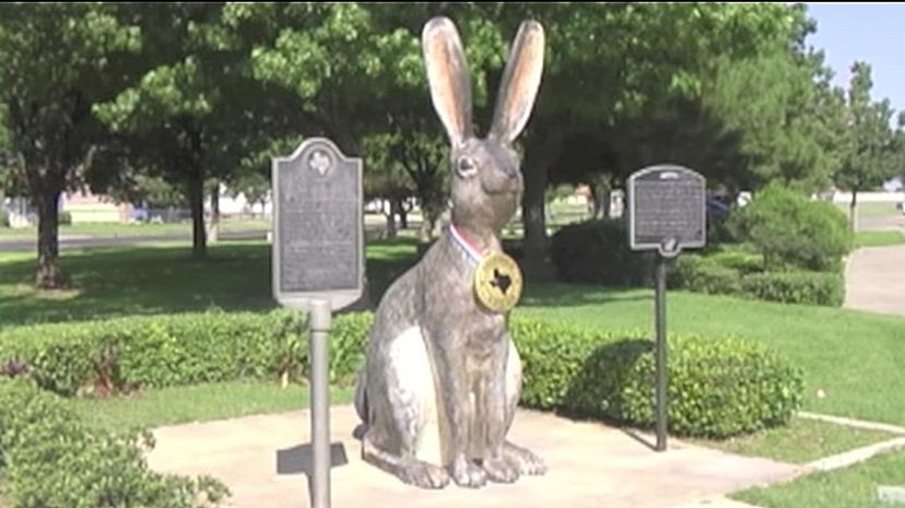 Jack Ben Rabbit