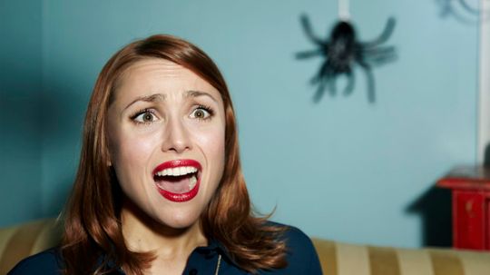 Can We Guess Your Biggest Phobia?