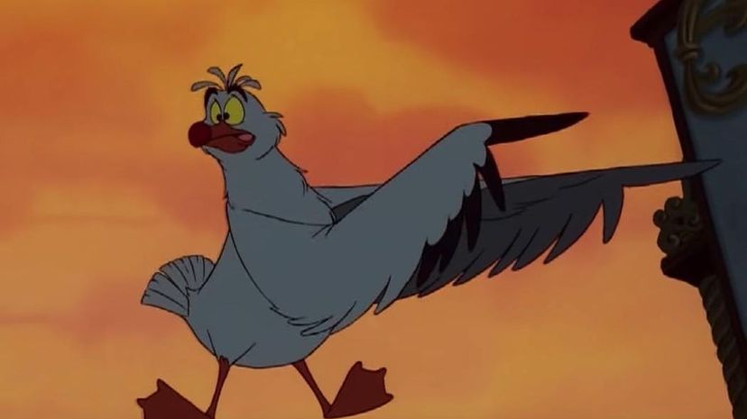 Scuttle - Little Mermaid