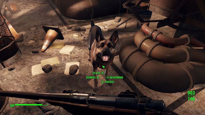 Fallout dog