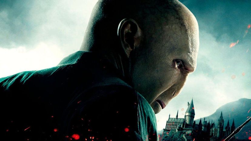 Make Some Bad Decisions in Diagon Alley and We Will Tell You Which Harry Potter Villain You Are