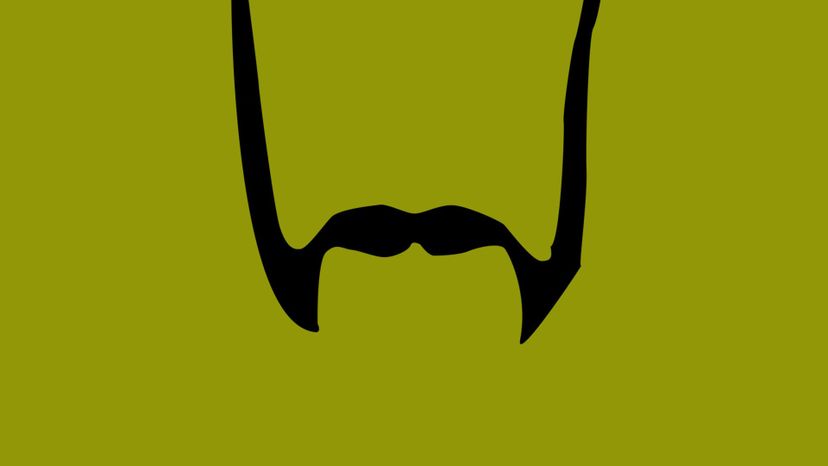 Can You Name the Style of These Movember Mustaches? | HowStuffWorks