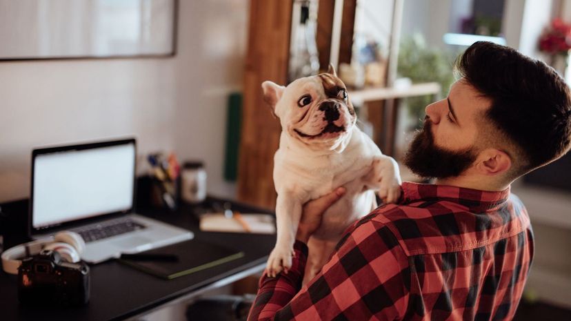 Man at desk holding dog
