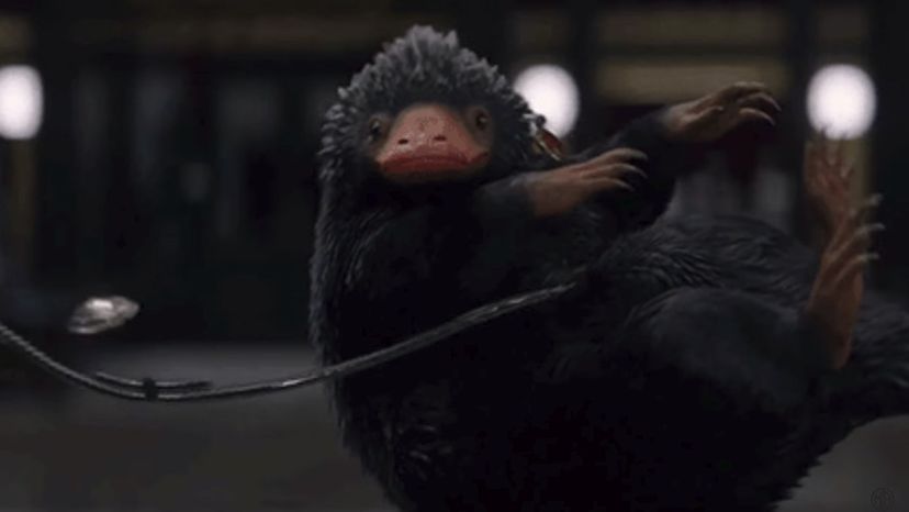 Niffler