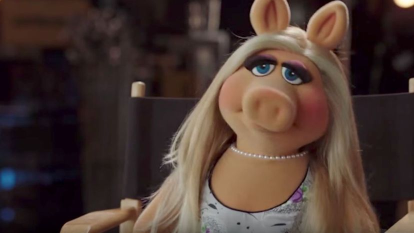 How Much of a Miss Piggy Are You?