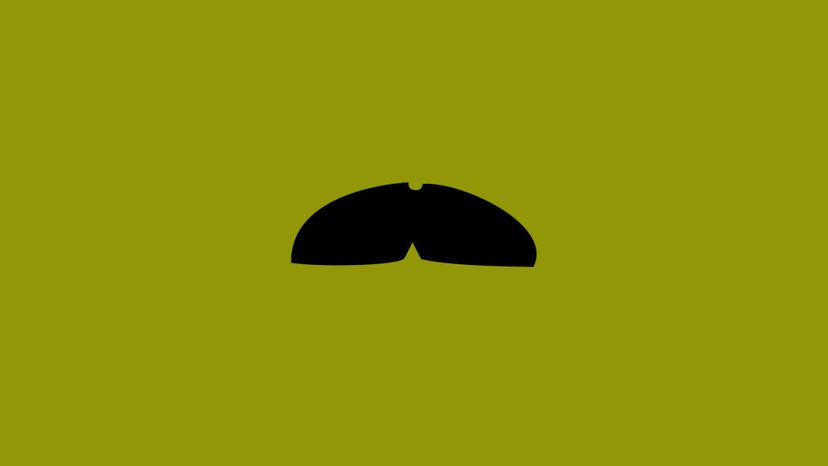 Can You Name the Style of These Movember Mustaches? | HowStuffWorks