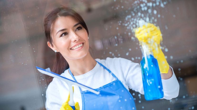 Q 09 House Cleaner