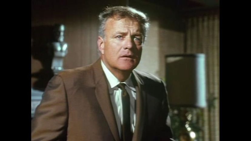 Family Affair (1966-1971)