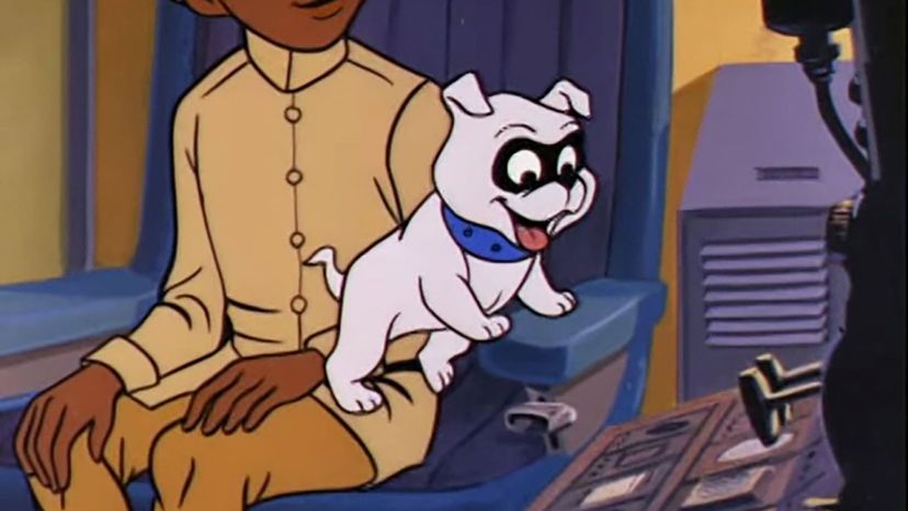 Jonny Quest - bulldog