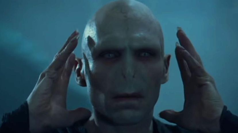 28 - Lord Voldemort