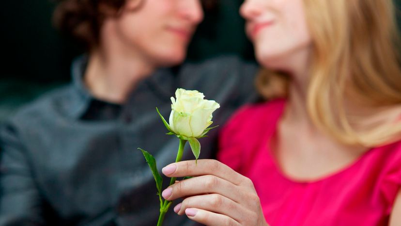 ¡Este test de flores puede revelar el tipo de amante que eres!