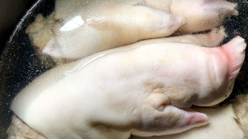 7-Pig Feet