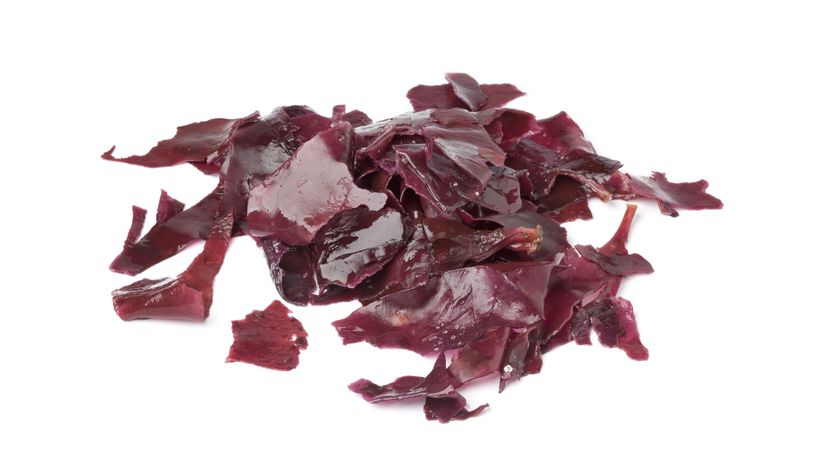 Dulse