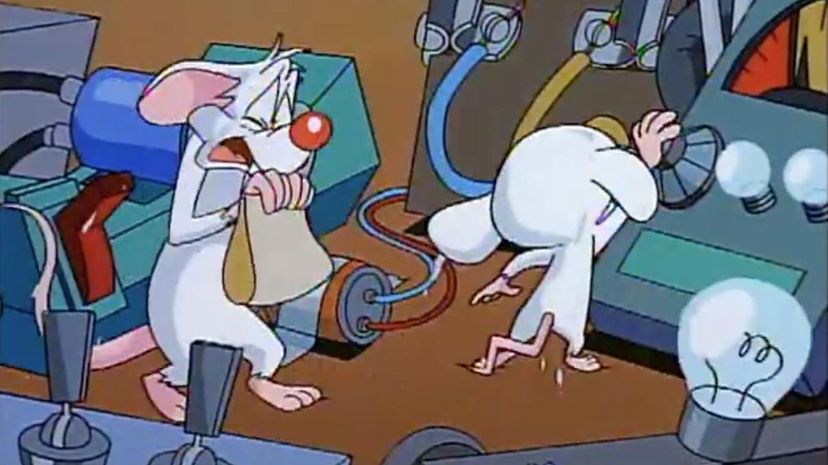 38 - A Pinky and the Brain Christmas