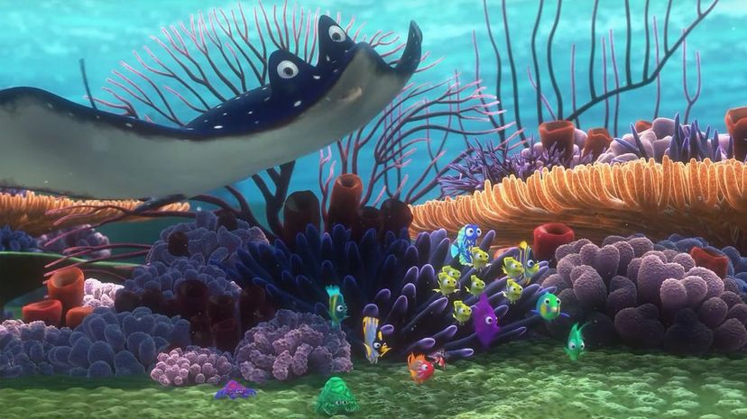 Are You a Finding Nemo Expert? | HowStuffWorks