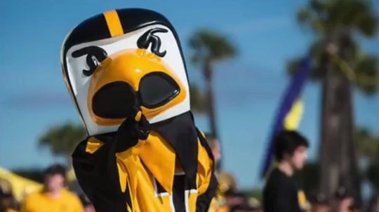 Can You Name These College Mascots?