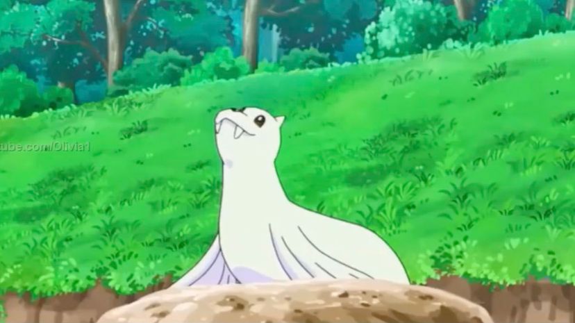 Dewgong